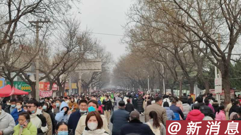 庙会实景2