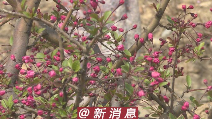 山清水秀阿斗寨8